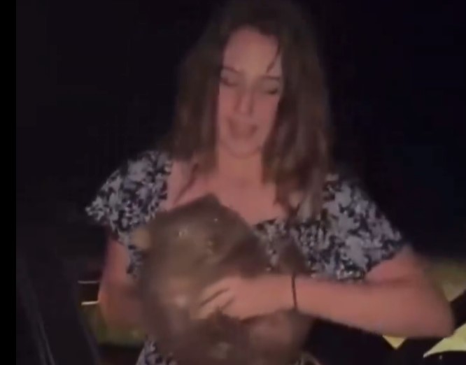 Vídeo causou revolta nas redes sociais obrigando a turista a ir embora da Austrália