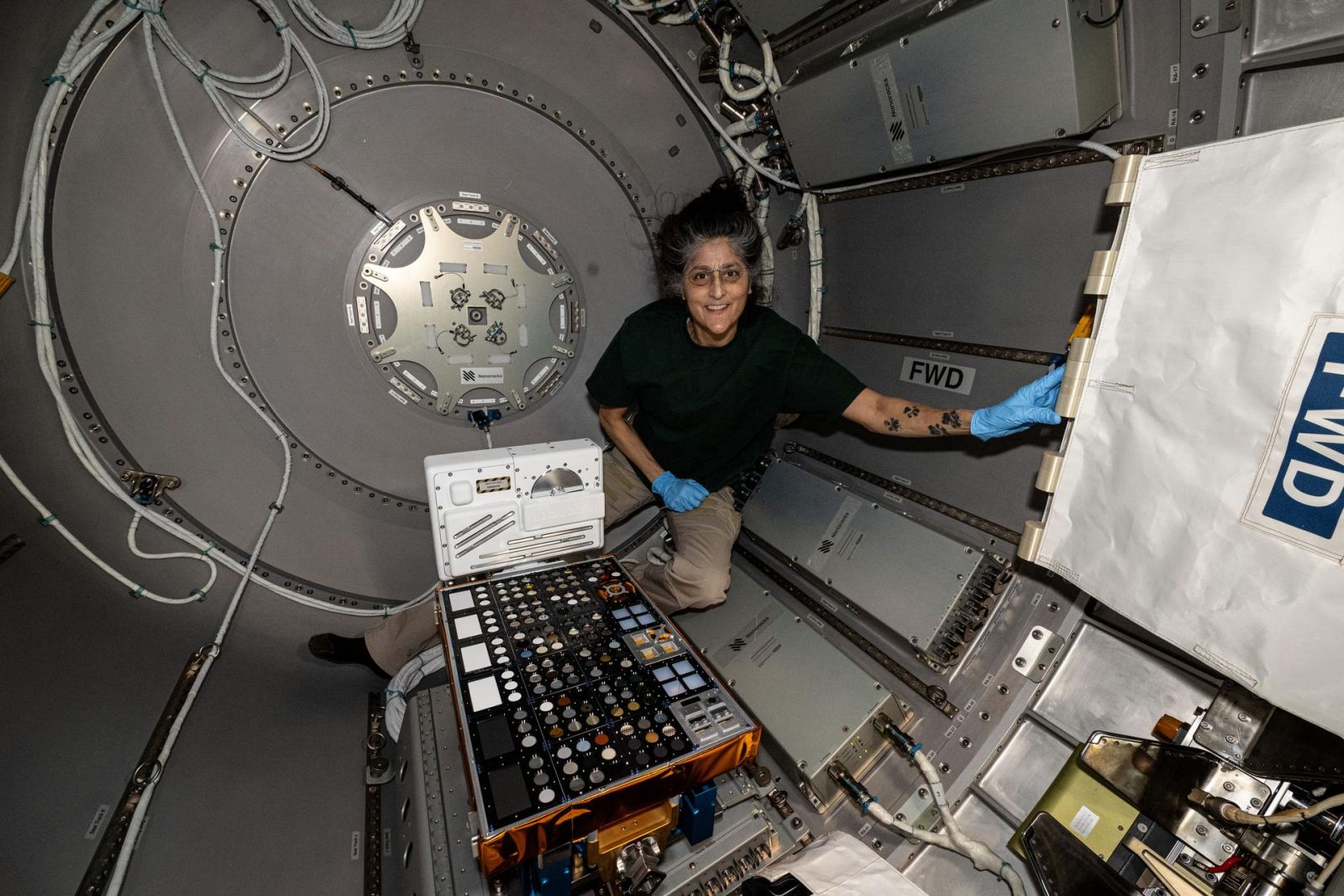 A astronauta da NASA Suni Williams instala o experimento na câmara de descompressão Nanoracks Bishop para transporte para o exterior da Estação Espacial Internacional.