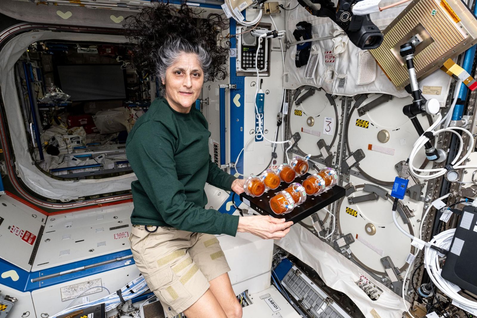 A astronauta da NASA Suni Williams prepara pacotes de crescimento especialmente projetados para a investigação
