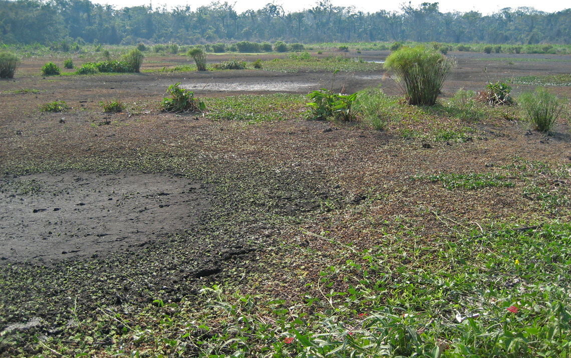 Lagos pré-colombianos serviam para irrigação - Foto: Umberto Lombardo / Universidade Autônoma de Barcelona
