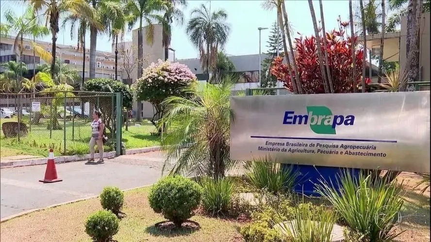 Concurso Embrapa 2025: veja os primeiros resultados e próximas etapas