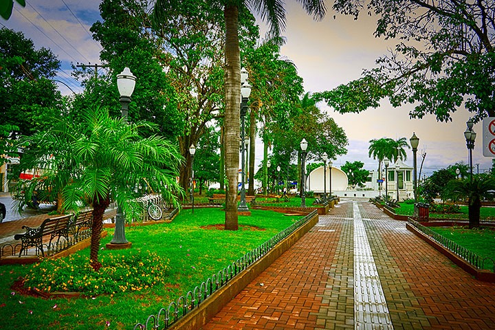 Cidade do interior de SP bate recorde e vira a mais verde do Brasil