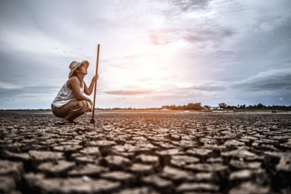 Aquecimento além de 1,5°C ameaça saúde, agricultura e economia